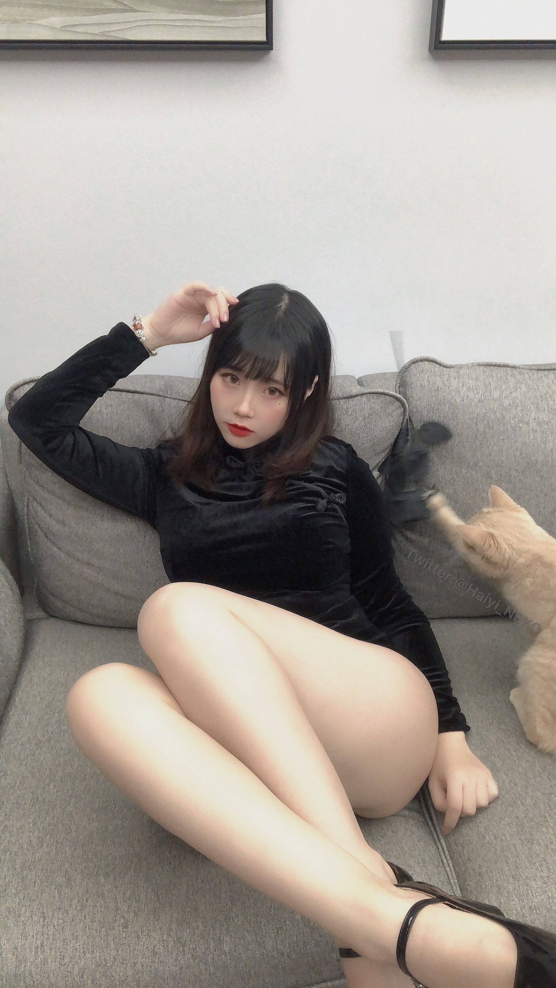 是一只废喵了 – 全套24期含随包视频[9G-2026.9] 组图